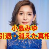 小島みゆの現在