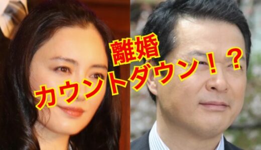 【閲覧注意】田中哲司と仲間由紀恵が離婚危機！？浮気相手はまさかの人物だった！？