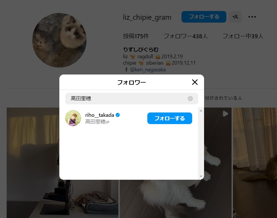 Instagram　アカウント検索